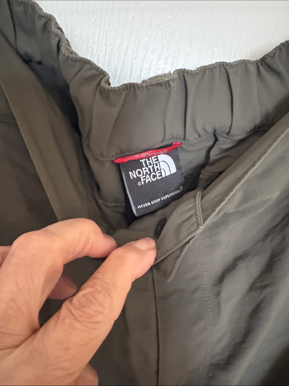 The North Face Men's Olive Green Shorts